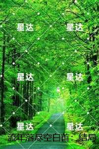 向婉宁顾辞