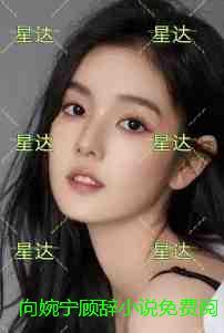 向婉宁顾辞